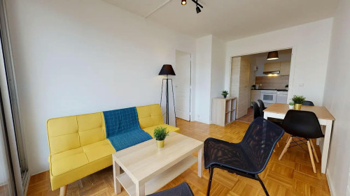 Rue Claudius Pionchon, Lyon  - Gallery -  5