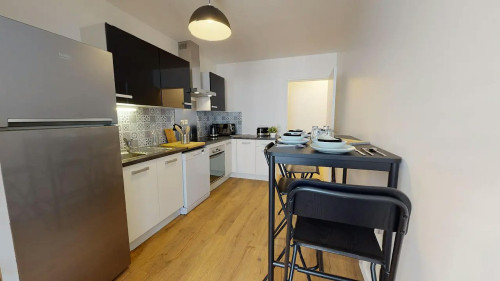 Cours Émile-Zola, Villeurbanne  - Gallery -  5