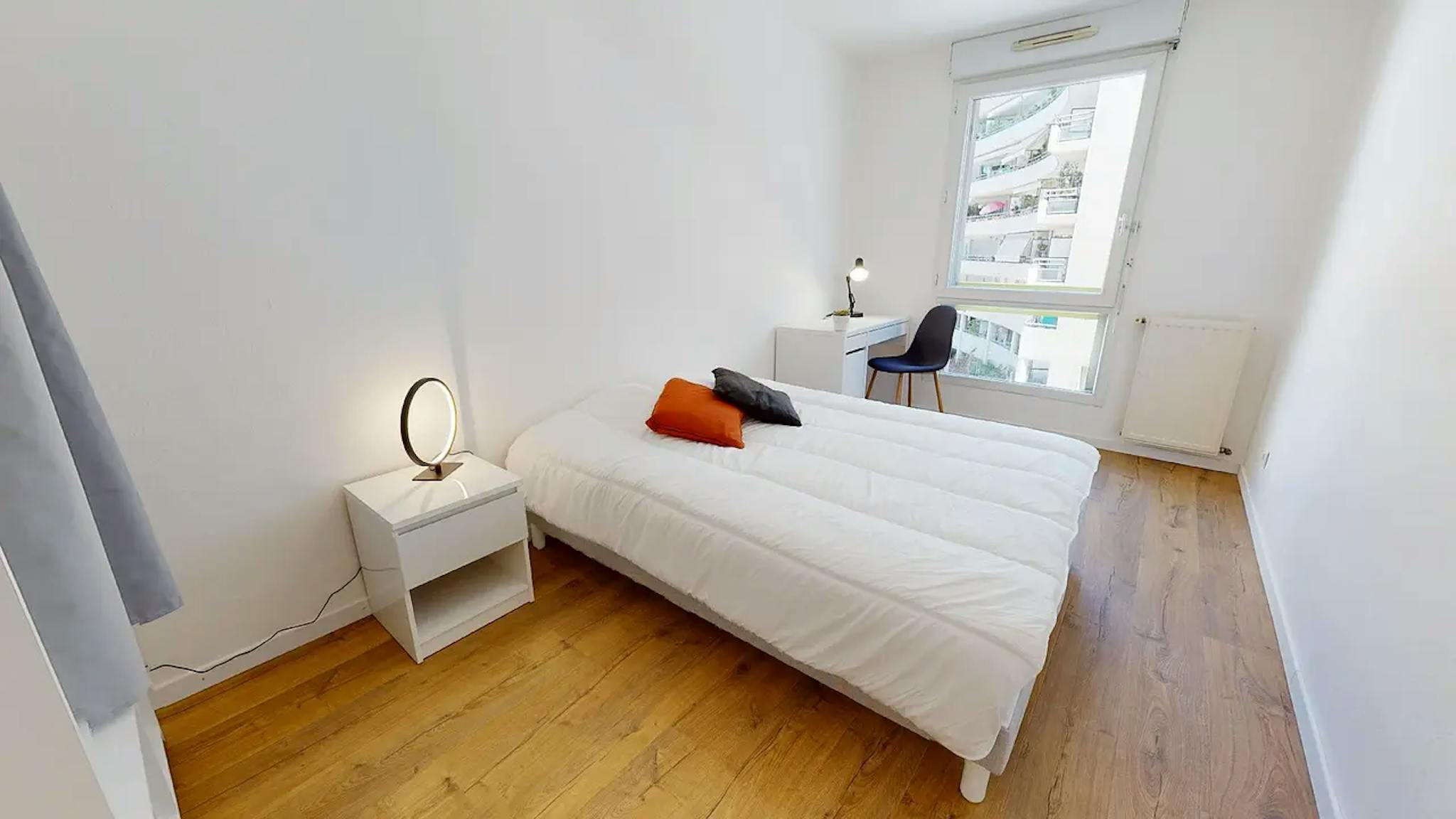  Private Room  -  Cours Émile-Zola, Villeurbanne  - Gallery -  1