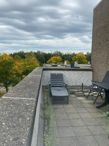 Wamelplein, Amsterdam - Gallery - 10