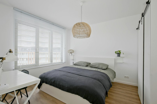 Mary van der Sluisstraat, Amsterdam - Gallery - 9