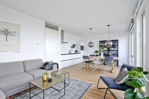 Mary van der Sluisstraat, Amsterdam - Gallery - 6