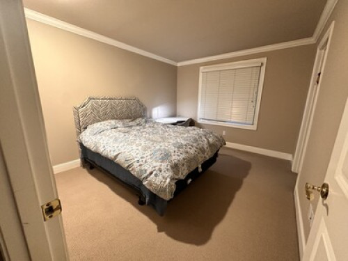 Bellevue, WA - Gallery - 8