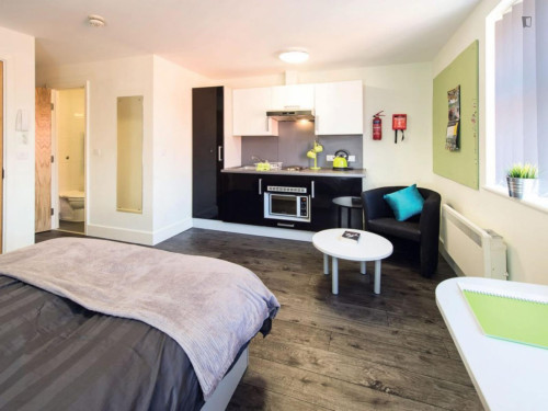 Cosy studio in a residence near Bangor train station  - Gallery -  5