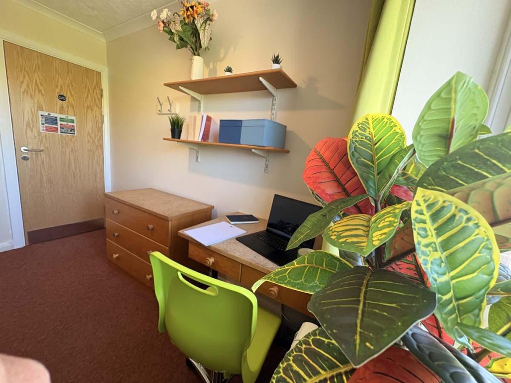  Three Bedroom Classic  -  Pin Hill  - Gallery -  5
