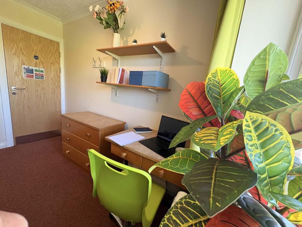  Three Bedroom Classic  -  Pin Hill  - Gallery -  3