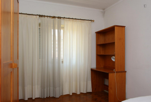 Nice single bedroom in a flat close to Jardim Botânico da Universidade de Coimbra - Gallery - 27