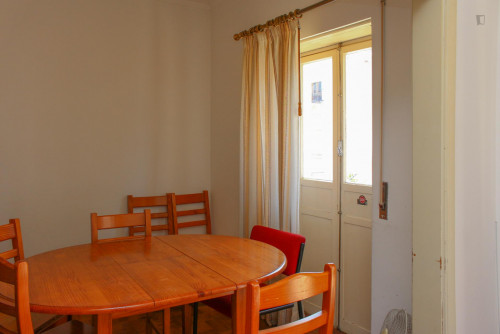 Nice single bedroom in a flat close to Jardim Botânico da Universidade de Coimbra - Gallery - 20