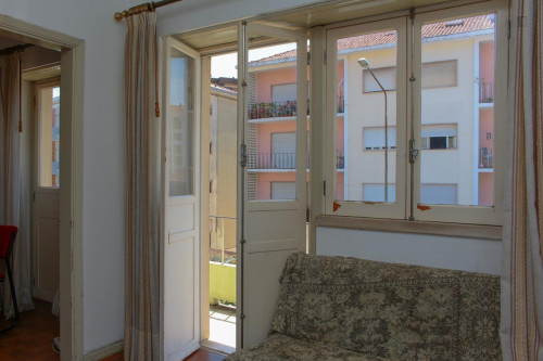Nice single bedroom in a flat close to Jardim Botânico da Universidade de Coimbra - Gallery - 17