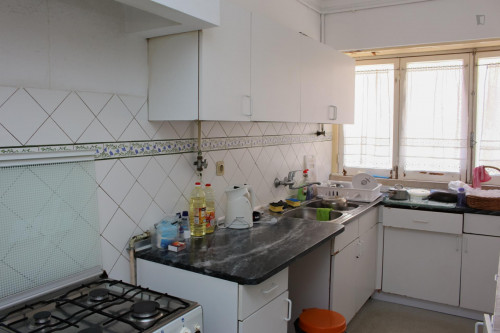 Nice single bedroom in a flat close to Jardim Botânico da Universidade de Coimbra - Gallery - 12
