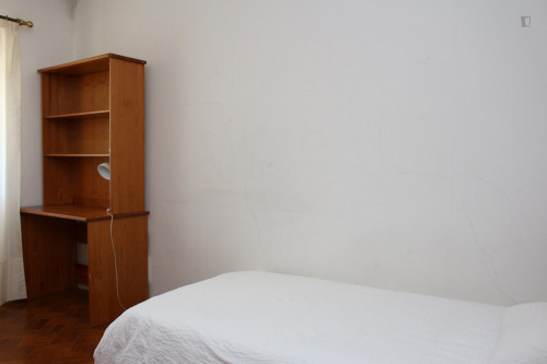 Nice single bedroom in a flat close to Jardim Botânico da Universidade de Coimbra - Gallery - 28