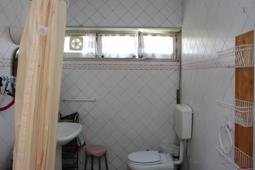 Nice single bedroom in a flat close to Jardim Botânico da Universidade de Coimbra - Gallery - 10