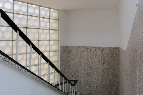 Nice single bedroom in a flat close to Jardim Botânico da Universidade de Coimbra