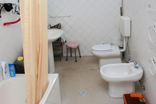 Nice single bedroom in a flat close to Jardim Botânico da Universidade de Coimbra - Gallery - 9