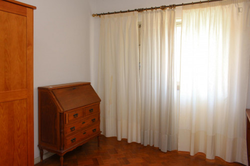 Nice single bedroom in a flat close to Jardim Botânico da Universidade de Coimbra - Gallery - 26