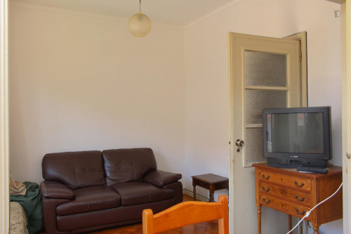 Nice single bedroom in a flat close to Jardim Botânico da Universidade de Coimbra - Gallery - 19