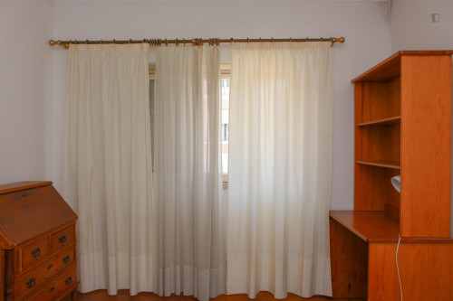 Nice single bedroom in a flat close to Jardim Botânico da Universidade de Coimbra - Gallery - 24