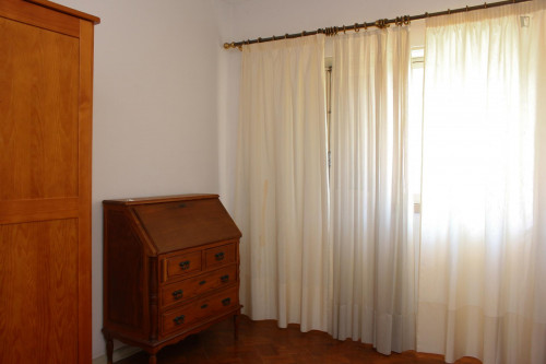 Nice single bedroom in a flat close to Jardim Botânico da Universidade de Coimbra - Gallery - 23