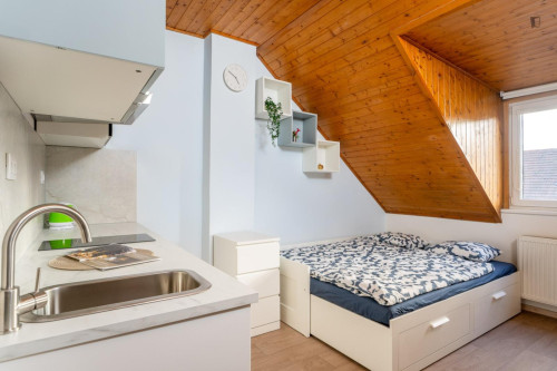 Very cosy studio in the Krč district