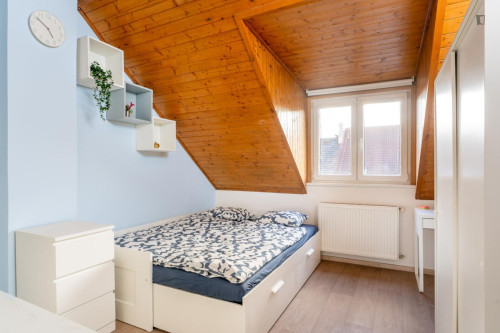 Very cosy studio in the Krč district