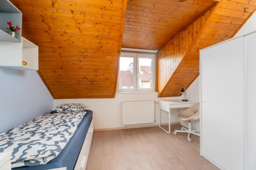 Very cosy studio in the Krč district