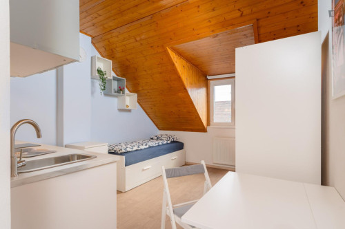 Very cosy studio in the Krč district