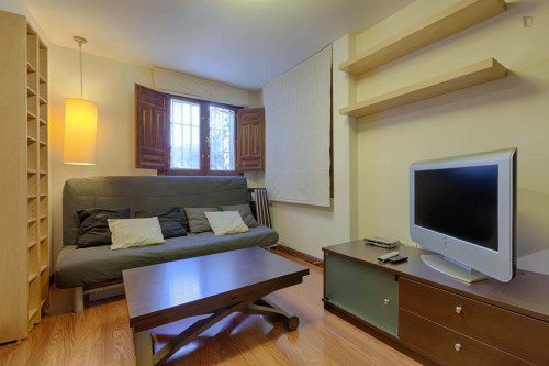 Apartment in Placeta de la Miga, Granada for 60 m² with 1 bedroom - Gallery - 5