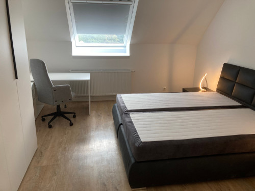 Perfect and modern flat located in Schweinfurt