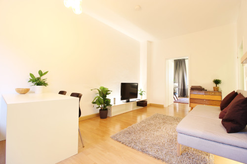 Quiet, modern and stylish apartment in the heart of Dusseldorf