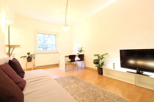 Quiet, modern and stylish apartment in the heart of Dusseldorf