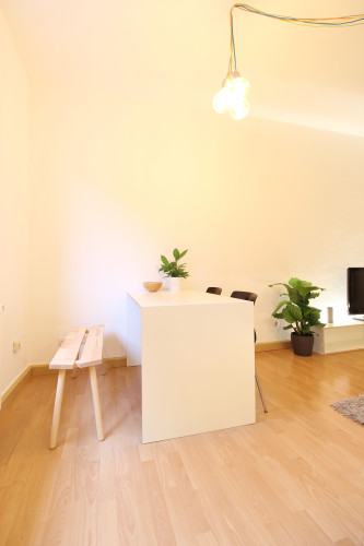 Quiet, modern and stylish apartment in the heart of Dusseldorf