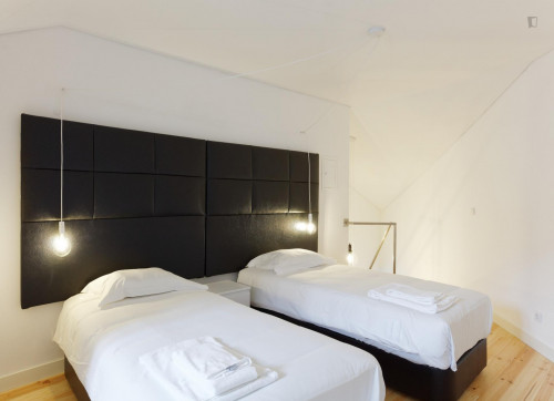 1-Bedroom apartment near Jardim Botânico de Lisboa