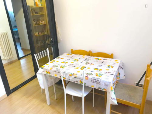 Room in Via Mirandola, Roma for 60 m² with 3 bedrooms