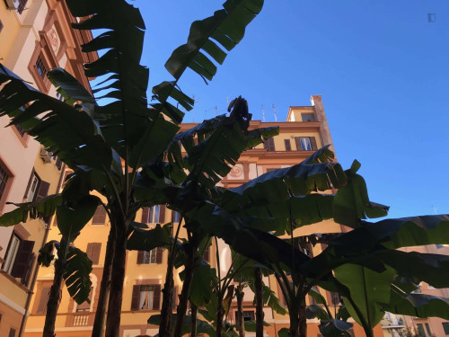 Room in Via Mirandola, Roma for 60 m² with 3 bedrooms