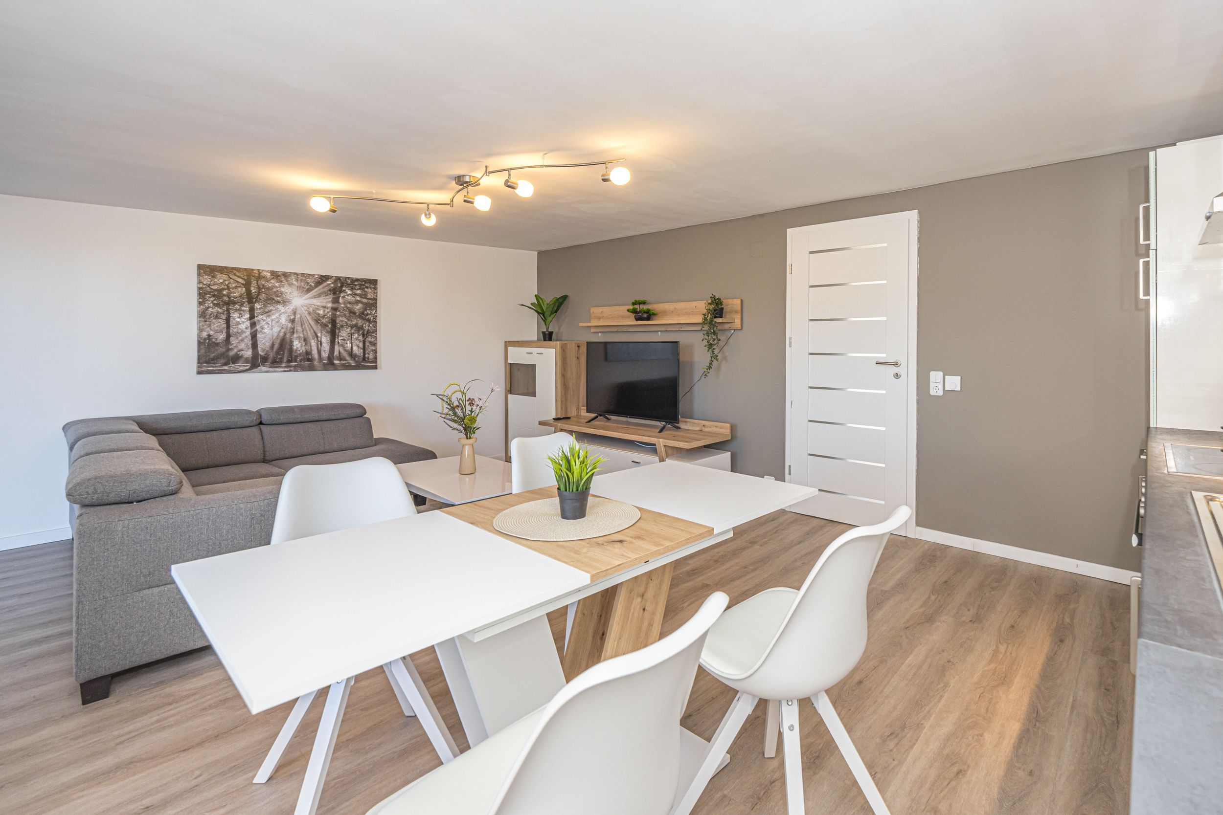 Cozy & Gorgeous Suite In Halle (Saale) Mainsation - 10