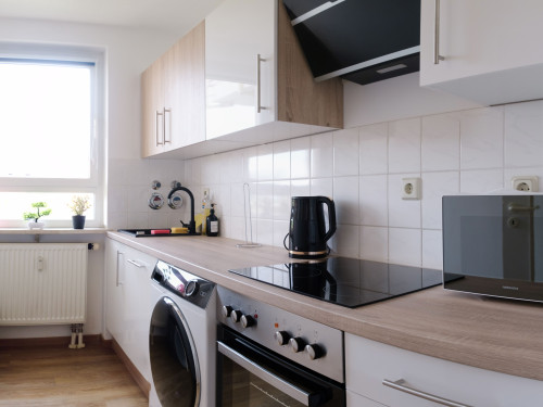 Beautiful, completely renovated, furnished and equipped apartment in Dresden, Friedrichstadt for rent! - Gallery - 7