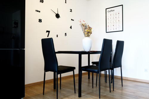 Beautiful, completely renovated, furnished and equipped apartment in Dresden, Friedrichstadt for rent! - Gallery - 15