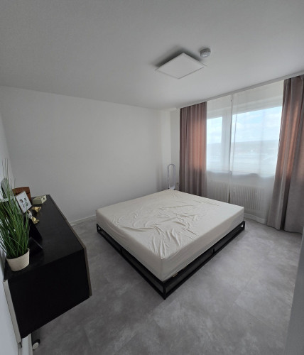 Cute suite in Troisdorf  - Gallery -  5