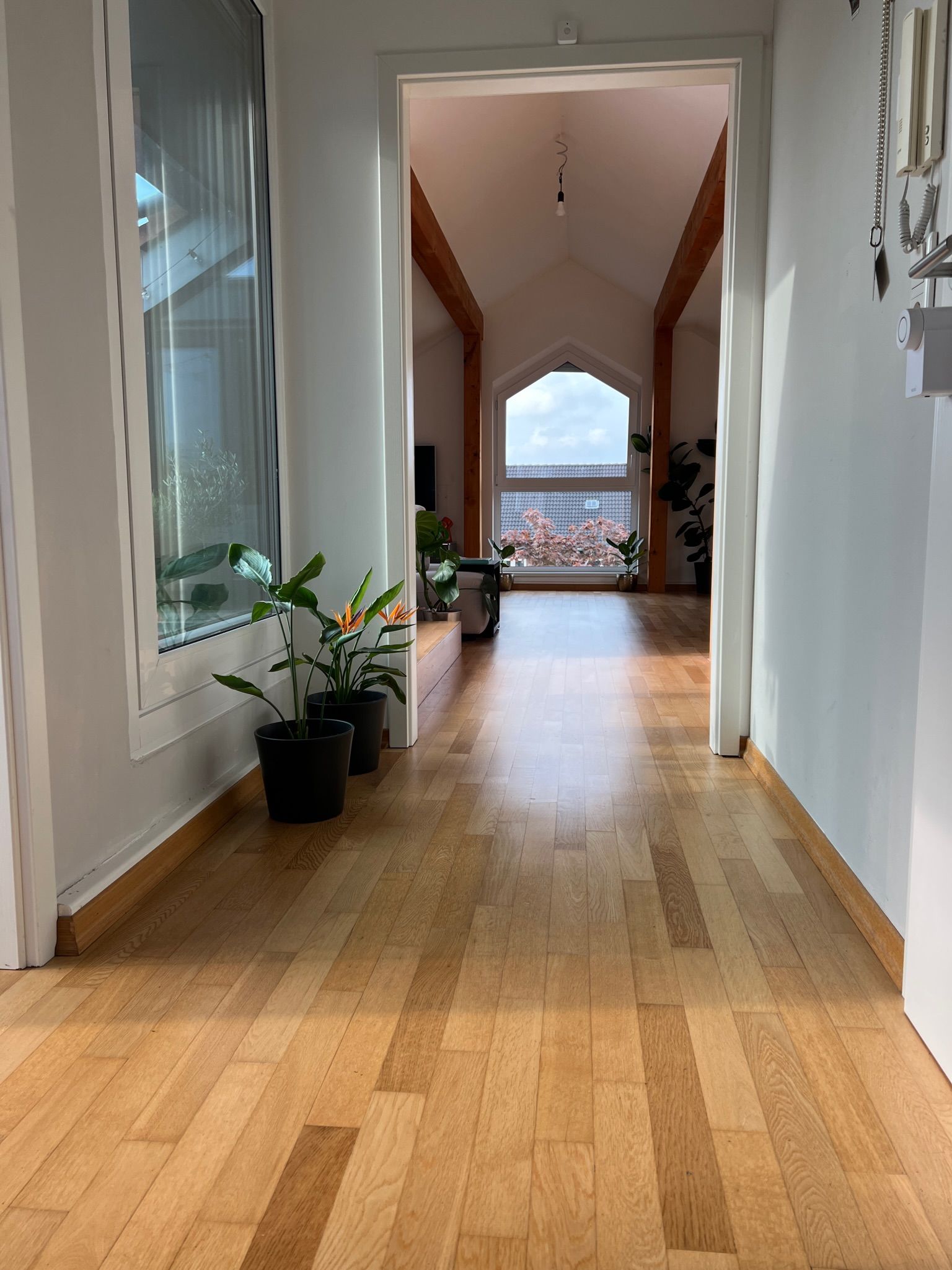 Exclusive Designer Apartment With Roof Terrace In A Central Location From July  -  Exclusive designer apartment with roof terrace in a central location from July  - Gallery -  11