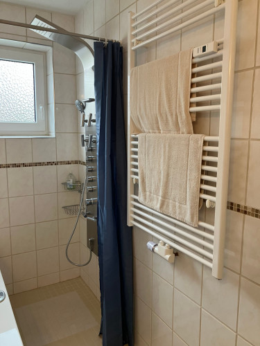 Living at Biebrich Castle Park - Gallery - 26