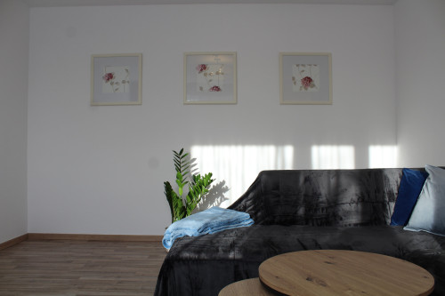 Living at Biebrich Castle Park - Gallery - 18