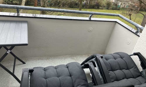 Living at Biebrich Castle Park - Gallery - 15