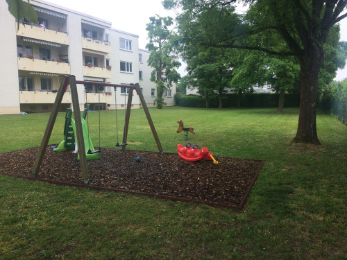 Living at Biebrich Castle Park - Gallery - 11