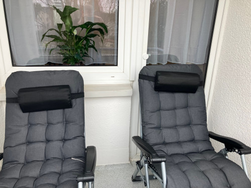 Living at Biebrich Castle Park - Gallery - 14
