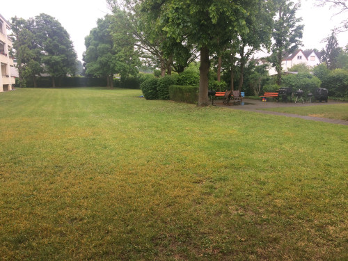 Living at Biebrich Castle Park - Gallery - 12
