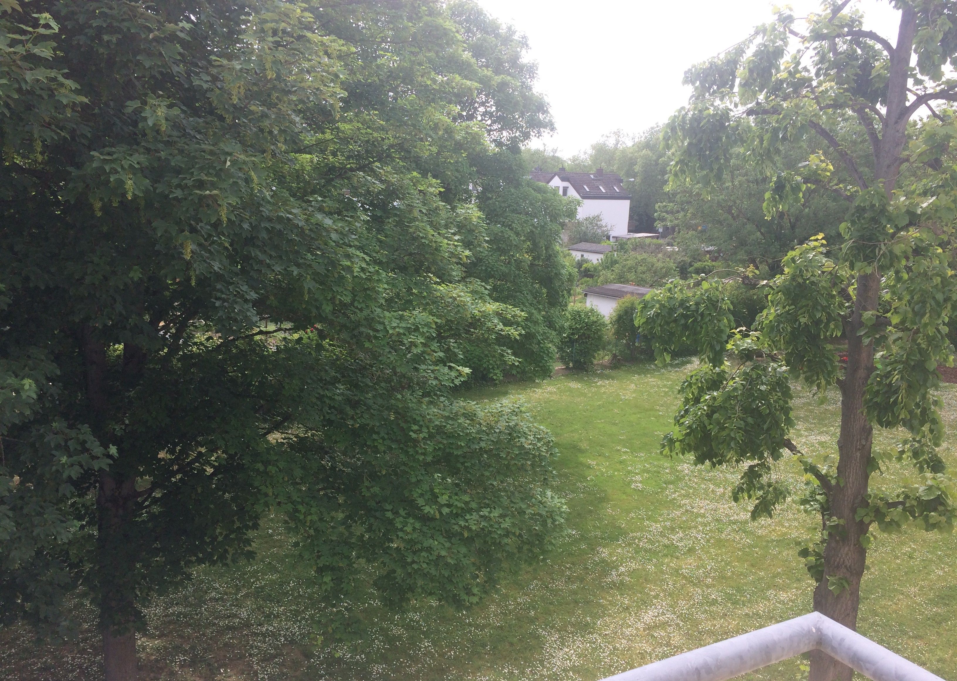 Living At Biebrich Castle Park - 12