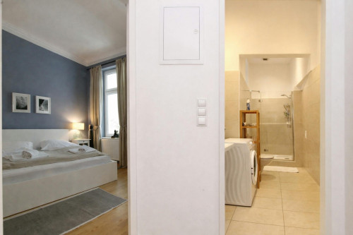 Alser Straße, Vienna  - Gallery -  5