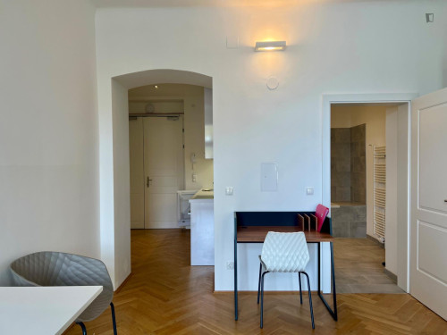 Charming 1-bedroom flat near the Vogelweid Park