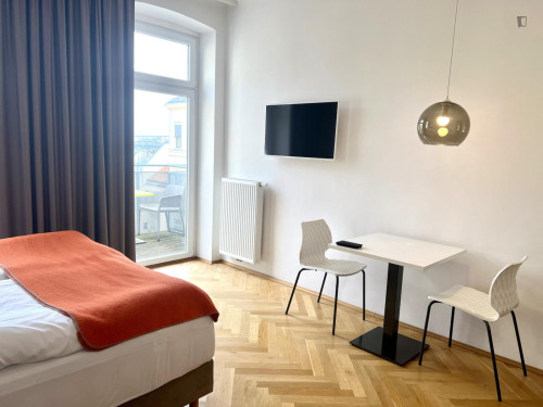 Snug 1-bedroom flat close to the Panikengasse tram stop