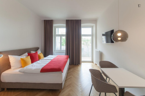 Snug 1-bedroom flat close to the Panikengasse tram stop